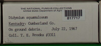 Image Associated With the Occurence